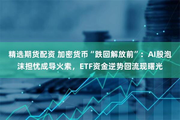 精选期货配资 加密货币“跌回解放前”:AI股泡沫担忧成导火索,ETF资金逆势回流现曙光