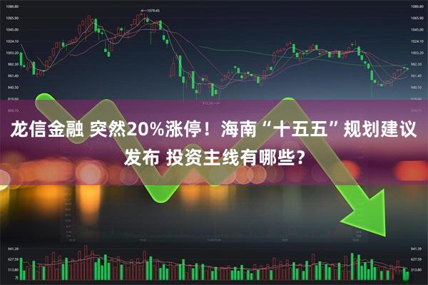 龙信金融 突然20%涨停!海南“十五五”规划建议发布 投资主线有哪些?