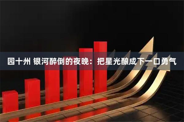园十州 银河醉倒的夜晚：把星光酿成下一口勇气